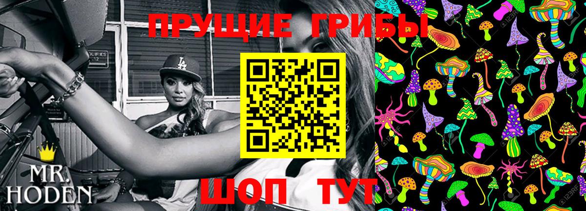 Галлюциногенные грибы Psilocybe  Вход с VPN  Галлюциногенные грибы Cubensis  Каменка 