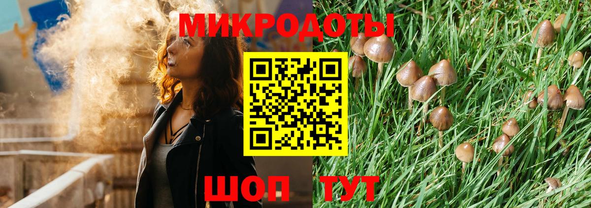 Галлюциногенные грибы Cubensis Каменка